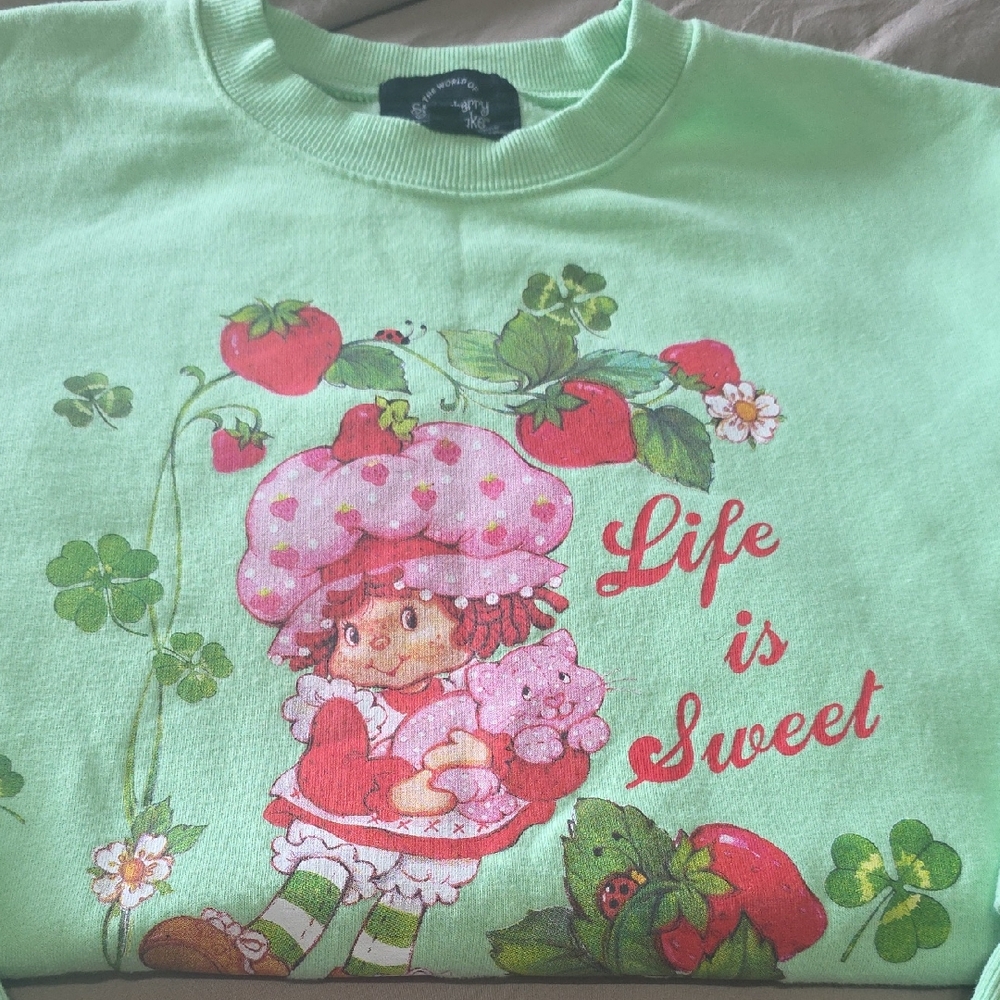 Mint Green Strawberry Shortcake Sweater